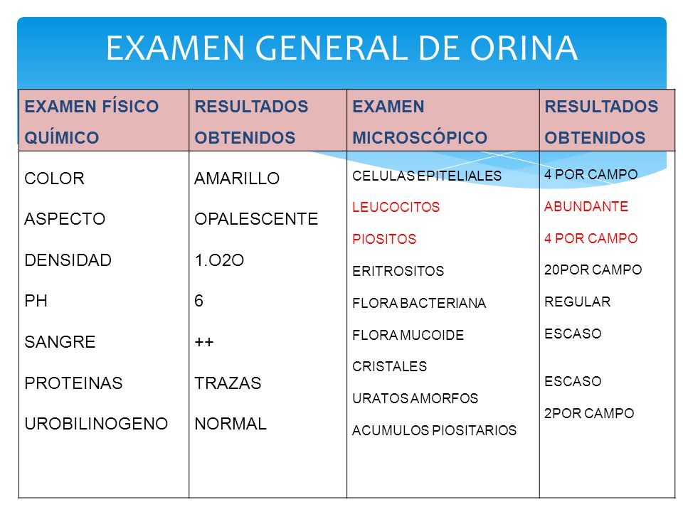 Analisis de orina niveles normales