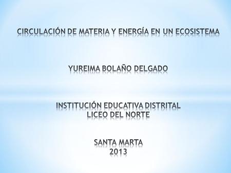 CIRCULACIÓN DE MATERIA Y ENERGÍA EN UN ECOSISTEMA YUREIMA BOLAÑO DELGADO INSTITUCIÓN EDUCATIVA DISTRITAL LICEO DEL NORTE SANTA MARTA 2013.