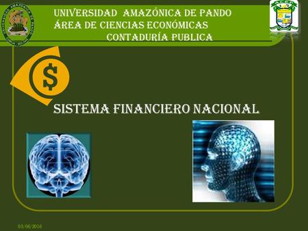 Universidad amazónica de pando Área de ciencias económicas Contaduría publica SISTEMA FINANCIERO NACIONAL 03/06/2016.