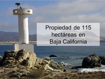 Propiedad de 115 hectáreas en Baja California. Esta propiedad esta ubicada a orilla del Océano Pacifico, a solo 75 km. de Bahía de los Ángeles en el Mar.