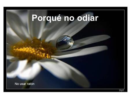 Porqué no odiar No usar ratón Cuando odiamos a nuestros enemigos, les damos poder sobre nosotros, nuestros deseos, nuestra presión sanguínea, nuestra.
