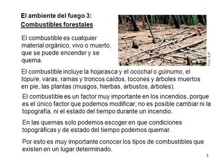 Combustibles forestales