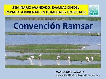 Convención Ramsar MANUEL ÑIQUE ALVAREZ Universidad Nacional Agraria de la Selva SEMINARIO AVANZADO: EVALUACIÓN DEL IMPACTO AMBIENTAL EN HUMEDALES TROPICALES.