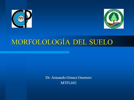 MORFOLOLOGÍA DEL SUELO