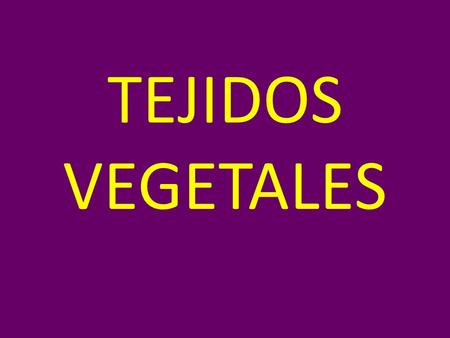 TEJIDOS VEGETALES.