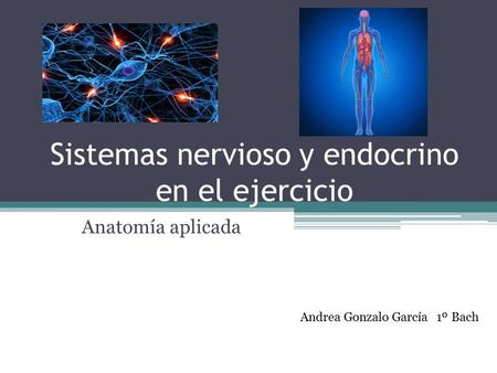Sistemas nervioso y endocrino en el ejercicio