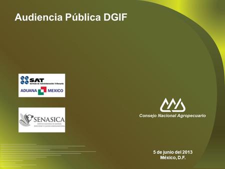 Audiencia Pública DGIF 5 de junio del 2013 México, D.F.