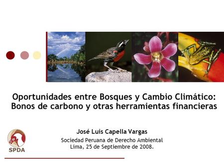 Oportunidades entre Bosques y Cambio Climático: Bonos de carbono y otras herramientas financieras José Luis Capella Vargas Sociedad Peruana de Derecho.