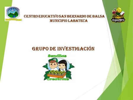 GRUPO DE INVESTIGACIÓN CENTRO EDUCATIVO SAN BERNARDO DE BALSA MUNICIPIO LABATECA.