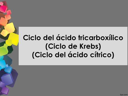 Glicólisis Ciclo de Krebbs. Ciclo del ácido tricarboxílico (Ciclo de Krebs) (Ciclo del ácido cítrico)