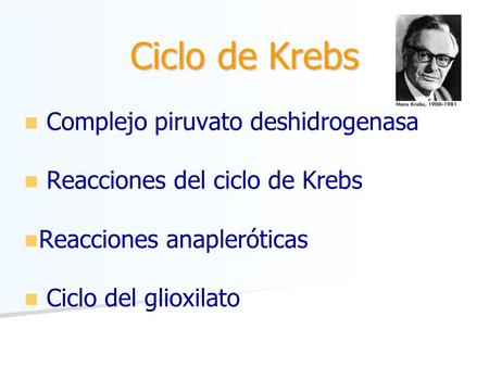 Ciclo de Krebs Complejo piruvato deshidrogenasa