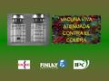 VACUNA VIVA ATENUADA CONTRA EL COLERA. Desarrollo de la Vacuna viva liofilizada contra cólera de la cepa atenuada 638 Obtención de una cepa atenuada de.