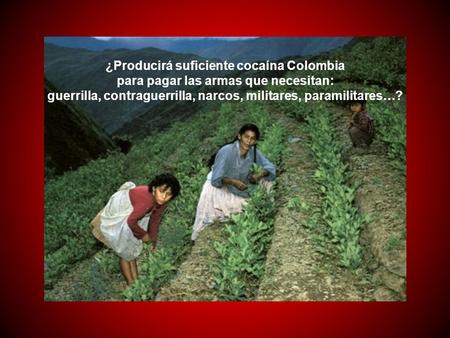 ¿Producirá suficiente cocaína Colombia para pagar las armas que necesitan: guerrilla, contraguerrilla, narcos, militares, paramilitares…?
