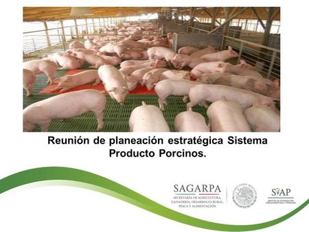 Reunión de planeación estratégica Sistema Producto Porcinos.