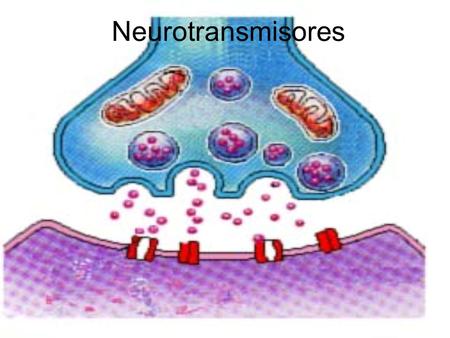 Neurotransmisores.