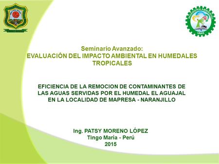 Seminario Avanzado: EVALUACIÓN DEL IMPACTO AMBIENTAL EN HUMEDALES TROPICALES EFICIENCIA DE LA REMOCION DE CONTAMINANTES DE LAS AGUAS SERVIDAS POR EL HUMEDAL.