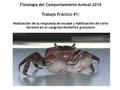 Fisiología del Comportamiento Animal 2016 Trabajo Práctico #1: Modulación de la respuesta de escape y habituación de corto término en el cangrejo Neohelice.