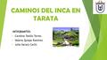 CAMINOS DEL INCA EN TARATA -INTEGRANTES:  Carolina Tesillo Torres.  Valeria Quispe Ramírez.  Julia Sacary Cachi.