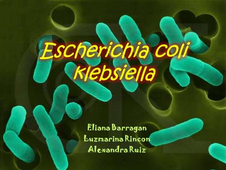 Eliana Barragan Luzmarina Rincon Alexandra Ruiz. Enterobacterias móviles (Flagelos peritricos o inmóviles oxidasa-negativo Catalasa Positiva Reduce nitratos.