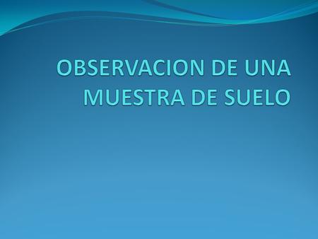 1.Colocar una muestra de suelo en un tubo de ensayo, ponerla al fuego para que el agua se evapore. Observación: al poner al fuego la primer muestra de.