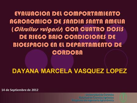 DAYANA MARCELA VASQUEZ LOPEZ