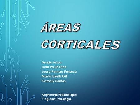 Sergio Ariza Juan Paulo Díaz Laura Patricia Fonseca María Lizeth Gil Nathaly Santos Asignatura: Psicobiología Programa: Psicología.