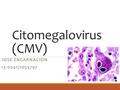 Citomegalovirus (CMV)