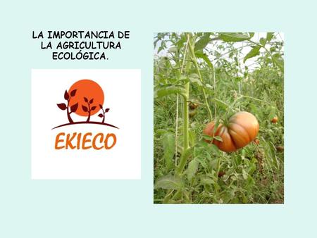 LA IMPORTANCIA DE LA AGRICULTURA ECOLÓGICA.. Agricultura ecológica Alimentación saludable. SALUD Desarrollo sostenible. FUTURO Producción ecológica. CONSUMO.
