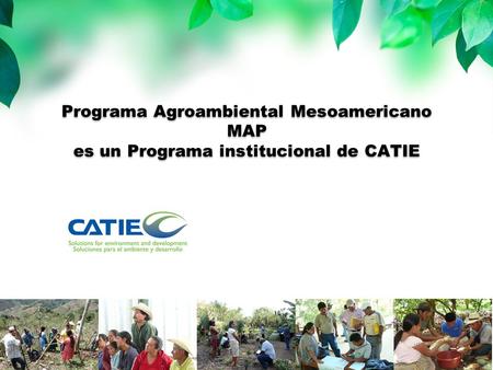 Programa Agroambiental Mesoamericano MAP es un Programa institucional de CATIE.