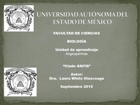 UNIVERSIDAD AUTÓNOMA DEL ESTADO DE MÉXICO