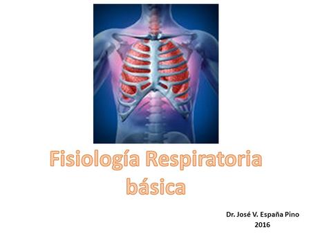 Dr. José V. España Pino 2016. Cerebro Columna Vertebral Sistema Neuro muscular Tórax y Pleura Vías Aéreas Superiores Vías Aéreas Sup e Inf Alveolos Cadena.