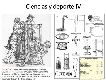 Ciencias y deporte IV. MÚSCULO Unidad Músculo-motora.