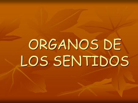 ORGANOS DE LOS SENTIDOS