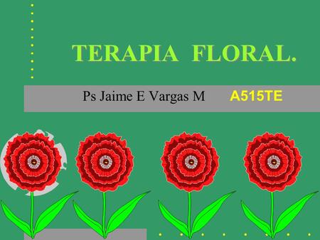TERAPIA FLORAL. Ps Jaime E Vargas M A515TE. Las esencias florales son preparados de flores potenciados y líquidos, los cuales permiten una serie de patrones.