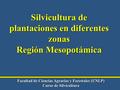 Facultad de Ciencias Agrarias y Forestales (UNLP) Curso de Silvicultura Silvicultura de plantaciones en diferentes zonas Región Mesopotámica.