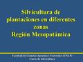 Facultad de Ciencias Agrarias y Forestales (UNLP) Curso de Silvicultura Silvicultura de plantaciones en diferentes zonas Región Mesopotámica.