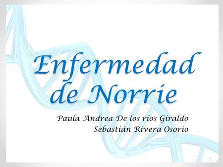 Enfermedad de Norrie Paula Andrea De los ríos Giraldo Sebastián Rivera Osorio 1.