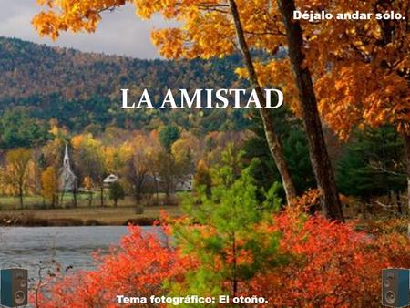 LA AMISTAD Déjalo andar sólo. Tema fotográfico: El otoño.