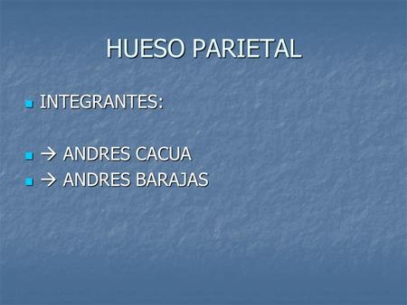 HUESO PARIETAL INTEGRANTES: INTEGRANTES:  ANDRES CACUA  ANDRES CACUA  ANDRES BARAJAS  ANDRES BARAJAS.