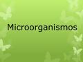Microorganismos. MICROORGANISMOS También llamado microbio u organismo microscópico, es un ser vivo que sólo puede visualizarse con el Microscopio. 4 clases.