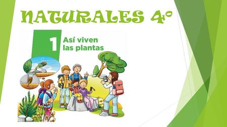 NATURALES 4º.