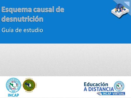 Guía de estudio. Estimado participante: Esta actividad le permitirá construir una representación gráfica de las causas de la desnutrición en situaciones.