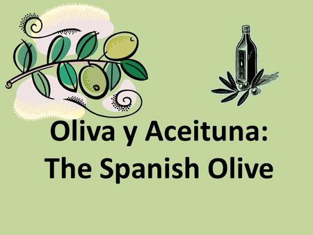 Oliva y Aceituna: The Spanish Olive. Los Orígenes Romano  oliva – De Latín (oleum) – Olivo=olive tree Árabe  aceituna – Árabe (al-zait) – Aceite=oil.