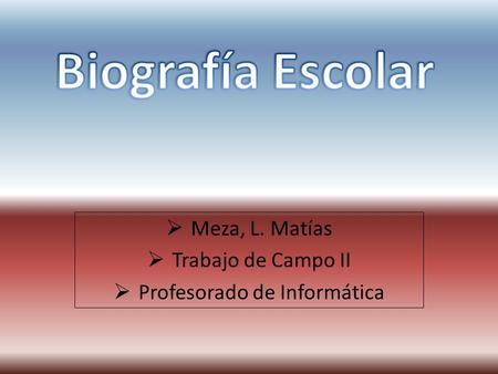  Meza, L. Matías  Trabajo de Campo II  Profesorado de Informática.