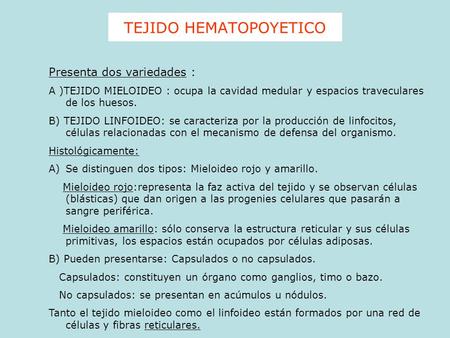 TEJIDO HEMATOPOYETICO Presenta dos variedades : A )TEJIDO MIELOIDEO : ocupa la cavidad medular y espacios traveculares de los huesos. B) TEJIDO LINFOIDEO: