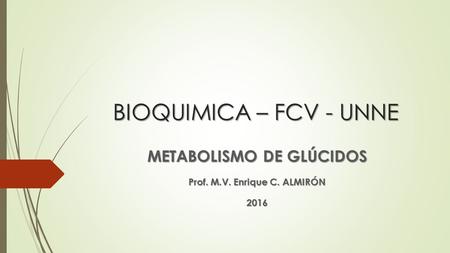 METABOLISMO DE GLÚCIDOS Prof. M.V. Enrique C. ALMIRÓN 2016
