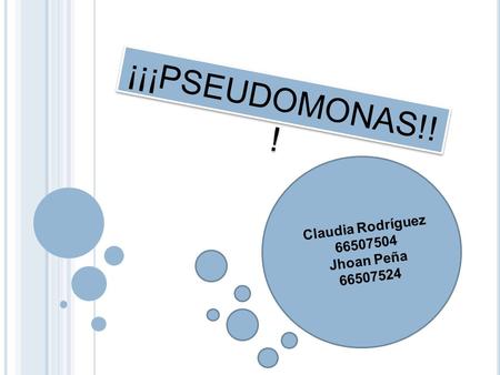 ¡¡¡PSEUDOMONAS!!! Claudia Rodríguez 66507504 Jhoan Peña 66507524.