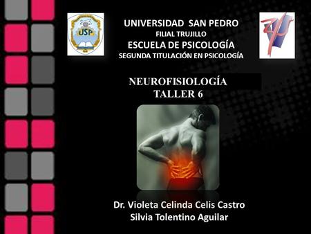 UNIVERSIDAD SAN PEDRO FILIAL TRUJILLO ESCUELA DE PSICOLOGÍA SEGUNDA TITULACIÓN EN PSICOLOGÍA NEUROFISIOLOGÍA TALLER 6 NEUROFISIOLOGÍA TALLER 6 Dr. Violeta.