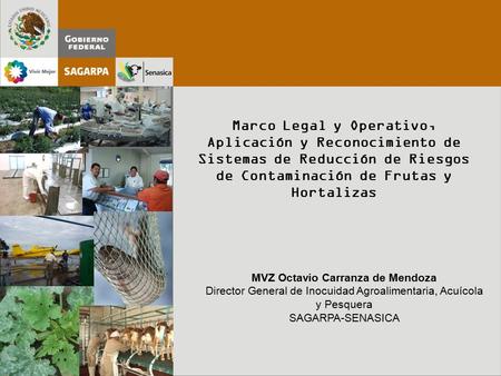 Espacio para foto o imagen Marco Legal y Operativo, Aplicación y Reconocimiento de Sistemas de Reducción de Riesgos de Contaminación de Frutas y Hortalizas.