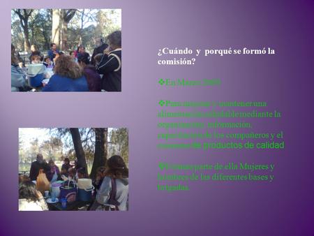 ¿Cuándo y porqué se formó la comisión?  En Marzo 2009  Para mejorar y mantener una alimentación saludable mediante la organización, información, capacitación.